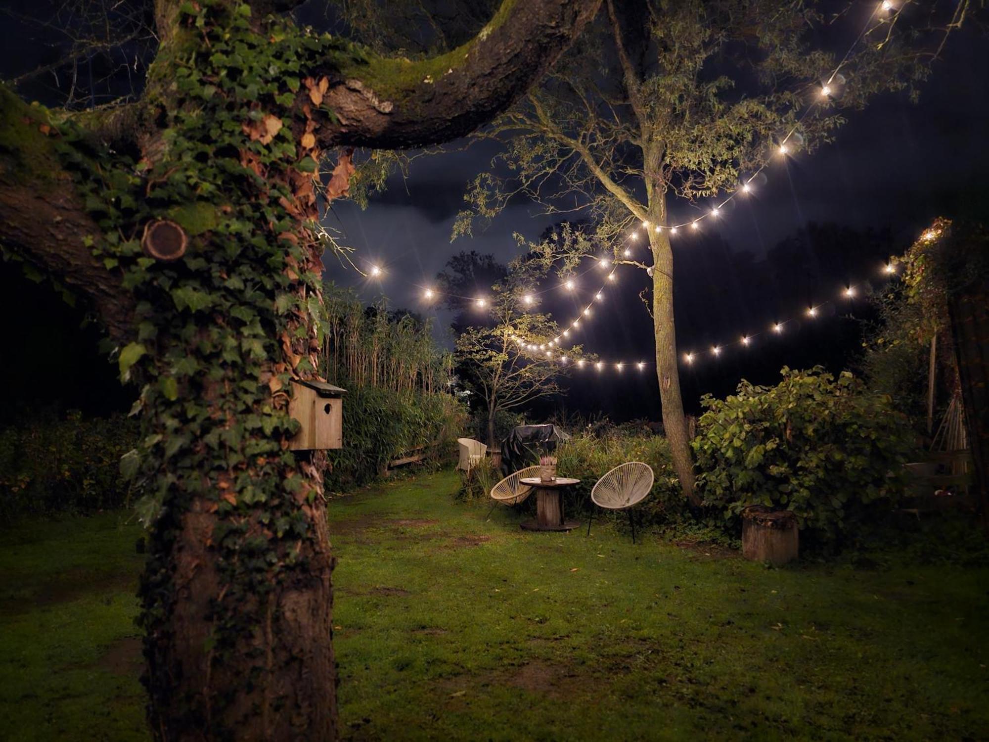 Weberhof-Muenster Glamping Hotel Bagian luar foto